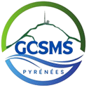 logo-gcsms-removebg-preview.png