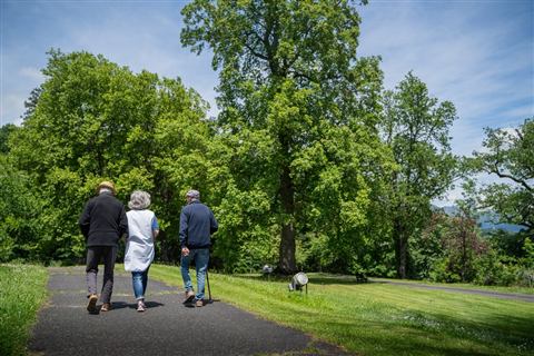 Résidence de Vieuzac – Promenade dans le parc
